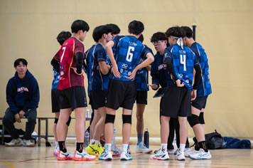 MADCUP Volley MADCUP Volley